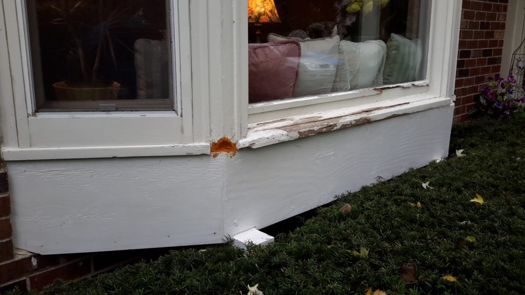Rotted foamed window