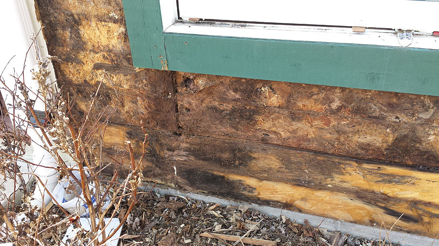 Interior moisture, mold and mildew under old siding