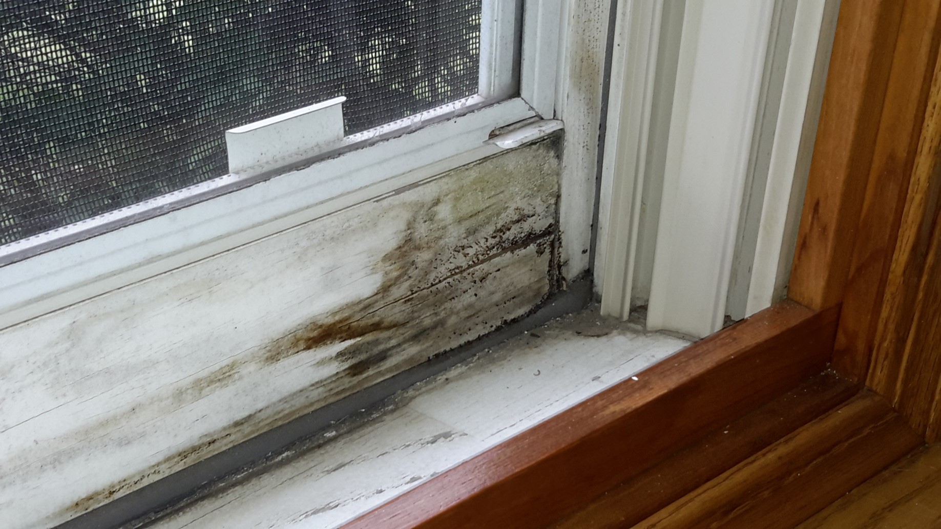 Rotted Storm Window