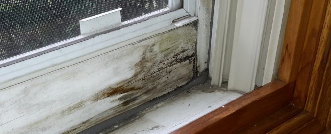 Rotted Storm Window